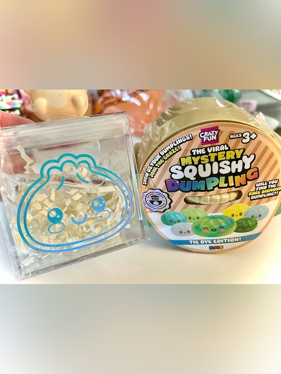 Other - RMS Tie Dye Mystery Dumpling and Custom Dumpling case Set, NEW!